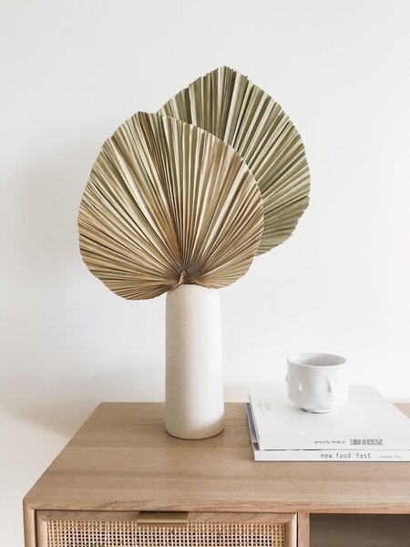 Feuille sèche une tige à 2000