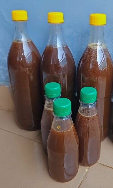 Miel Pur En Bouteille