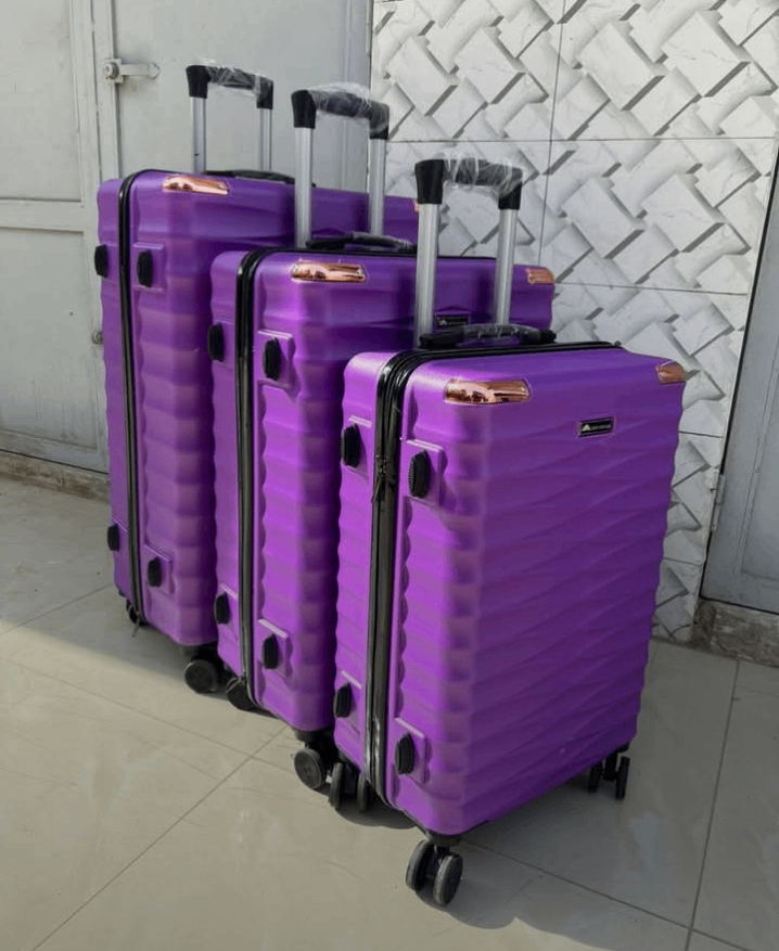 Valises élégantes à roulettes