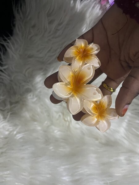 Barrettes fleurs en plastique