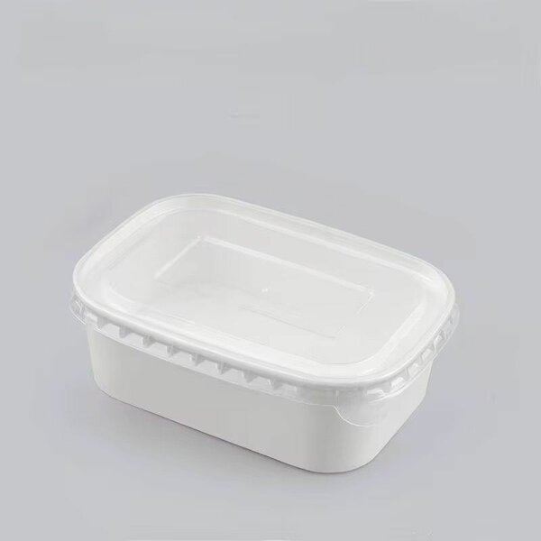 Boîtes Alimentaires 500ml