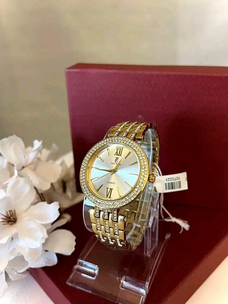 Montre élégante en acier