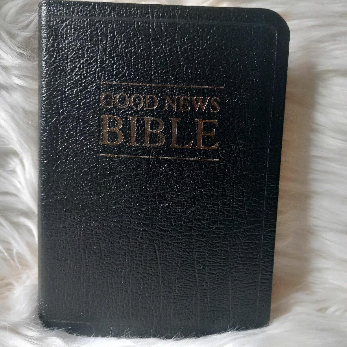 GOOD NEWS BIBLE