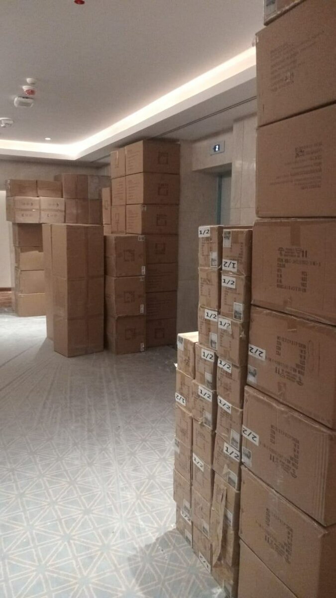 Latest Trending Casuall Sneakers