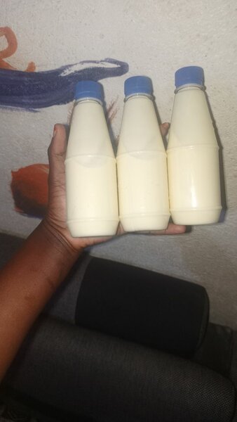 Yaourt maison en bouteilles