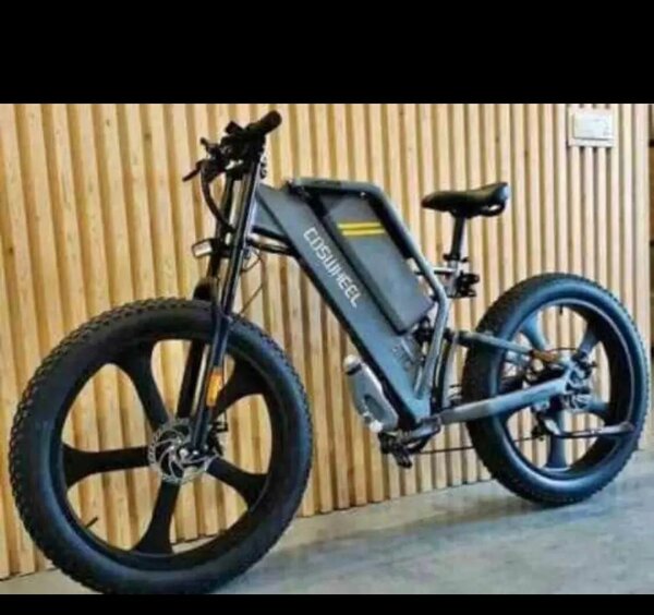 Vélo Électrique tout terrain CITYWHEEL