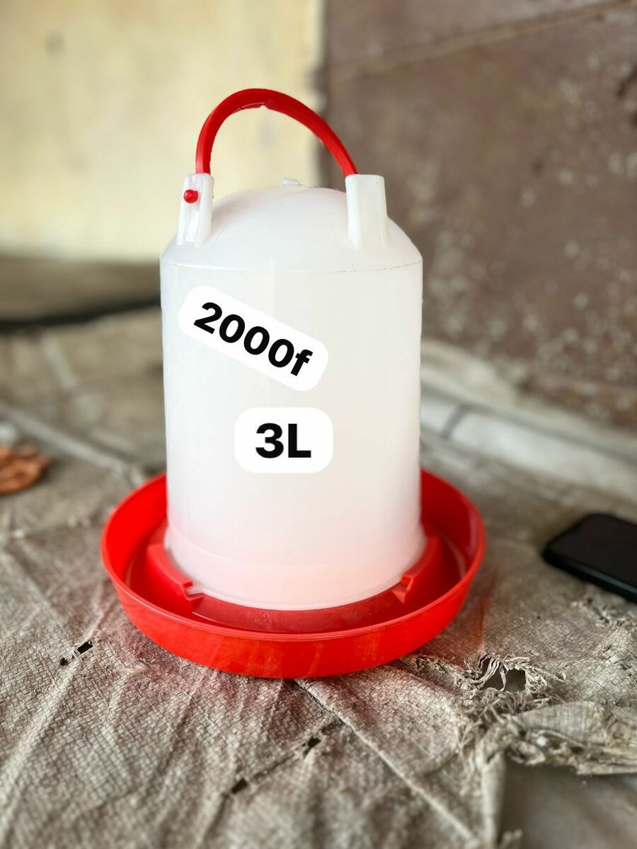 Abreuvoir et Mangeoire Volaille