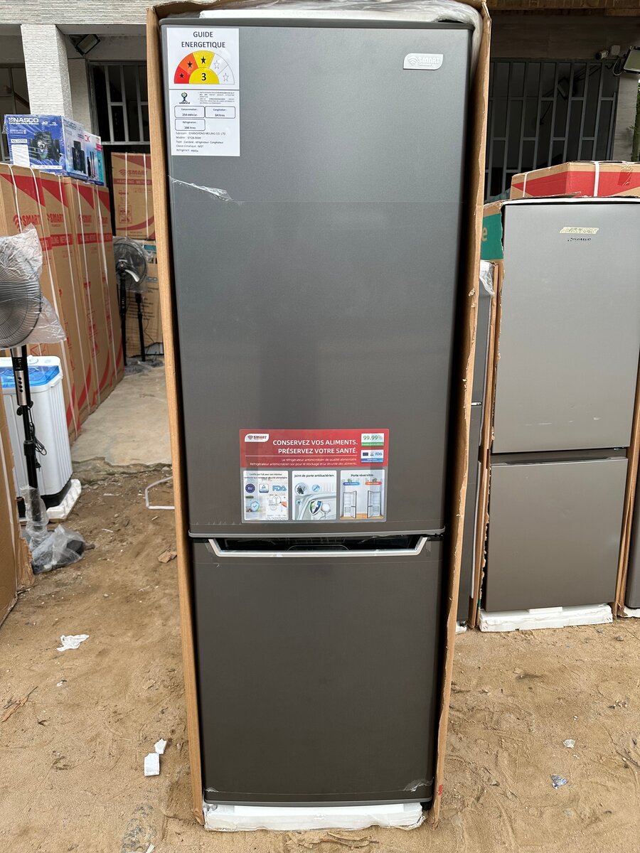 Réfrigérateur moderne 2 portes