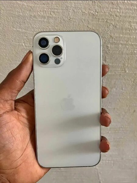 iPhone 12 Pro Max 256GB Argent