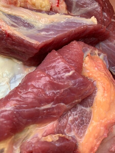 Viande de Bœuf Fraîche