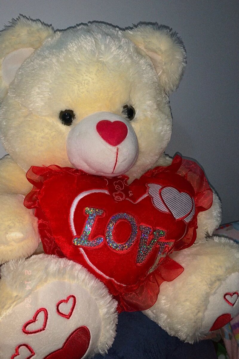 Ours En Peluche Coeur Amour