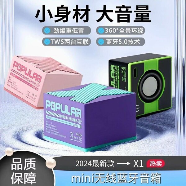 Mini Haut-parleur Sans Fil Bluetooth