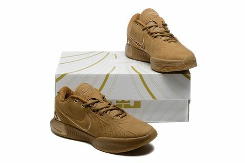 Basketball LeBron 22 maron