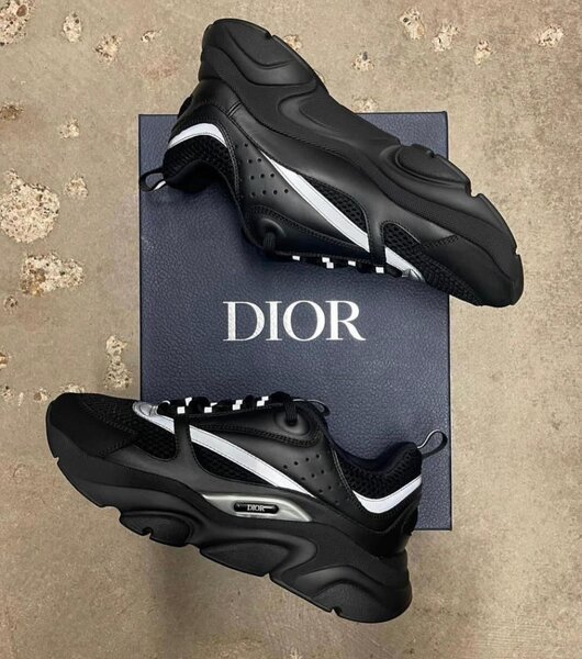 Dior b22