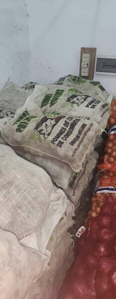 Pommes de terre fraîches en sac