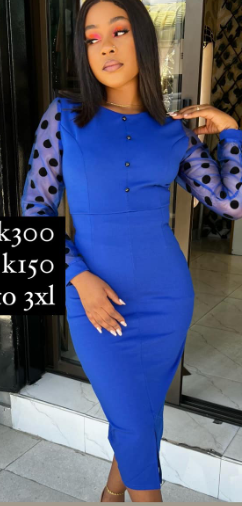 Blue form-fitting Office Dress