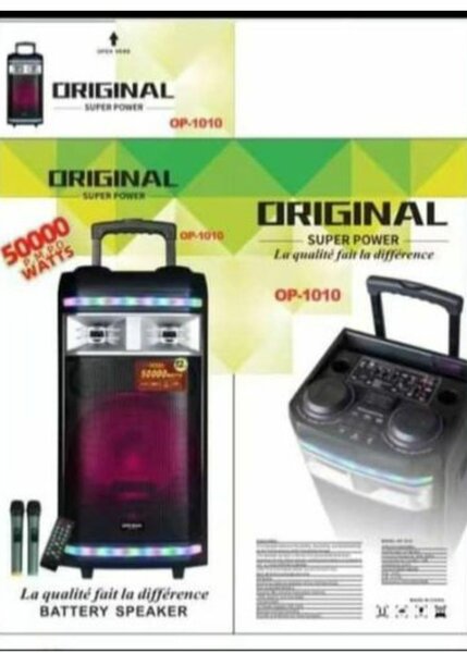 Enceinte Portable Puissante