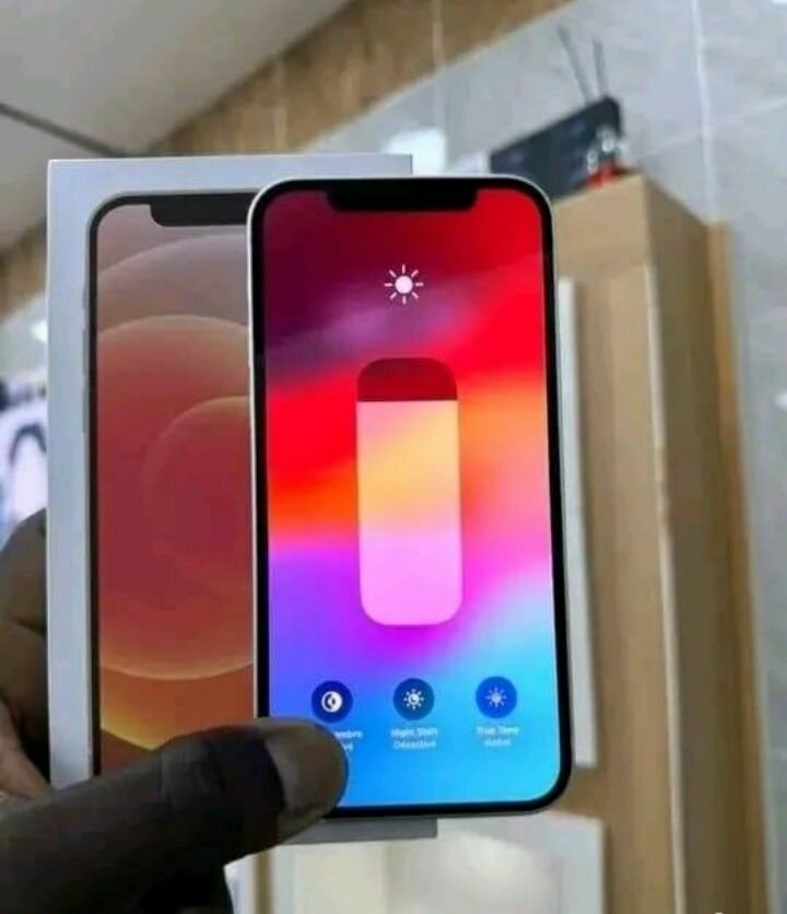 Apple iPhone 12 - Téléphone portable