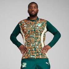 Maillot Côte d'Ivoire Puma