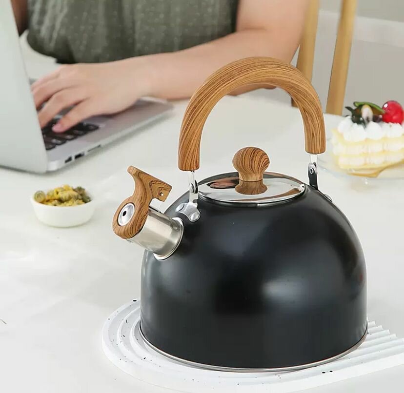 Scalitt Electric Kettle