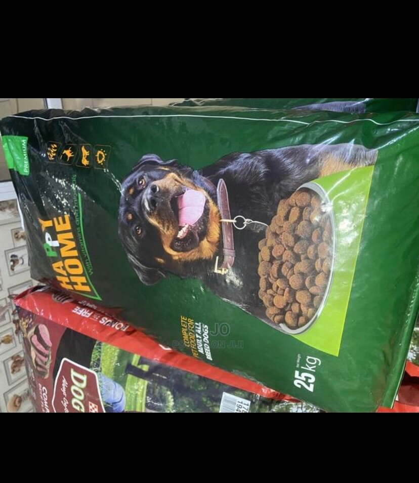 Happy home adult and puppy