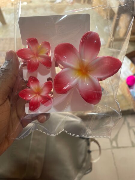 Barrettes fleurs colorées