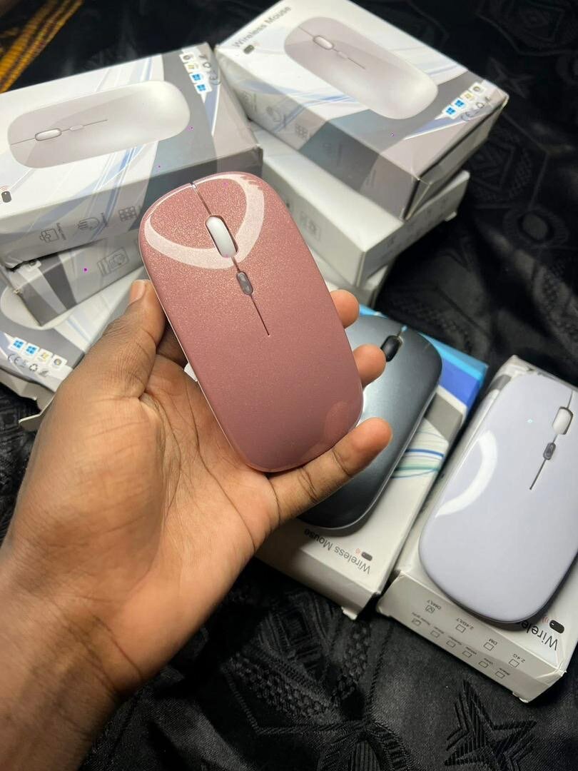 Souris sans fil ergonomique