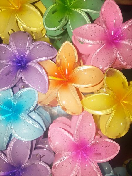 Broches de fleurs colorées