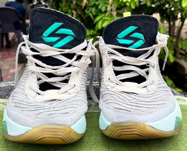 Jordan Luka 1 Next Nature Bois