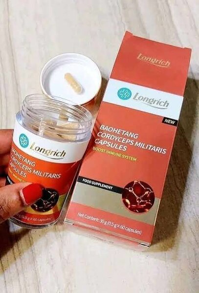 Capsules Cordyceps Militaire