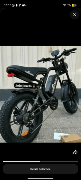 Vélo électrique tout-terrain