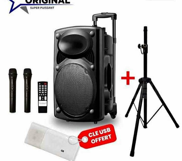 Haut parleur super power + 2 micros