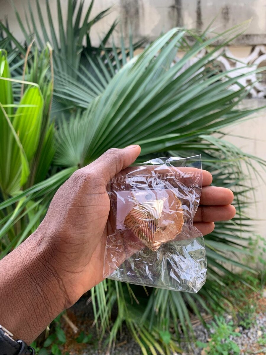 Boucles d'oreilles élégantes