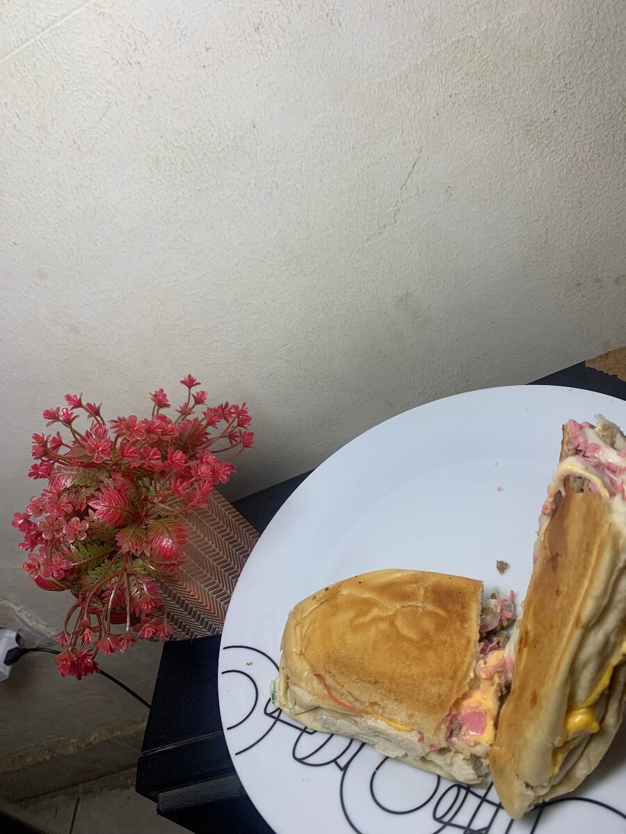 Délicieux Sandwich Gourmet