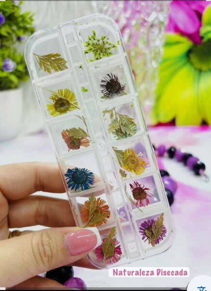 Décorations ongles fleurs séchées