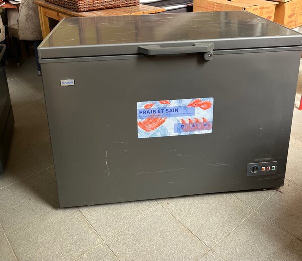 Congélateur coffre grande capacité