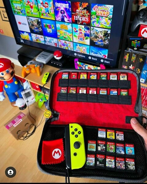 Housse de transport pour Nintendo Switch