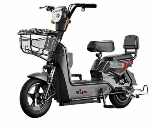 Tricycle électrique pour adulte