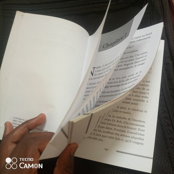 Roman Au -Dela des tourments