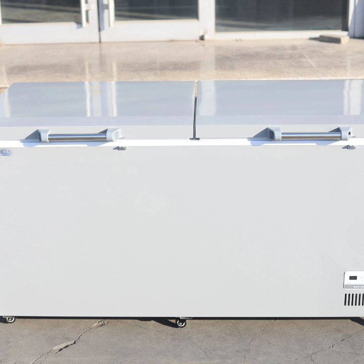 Biggest deep freezer