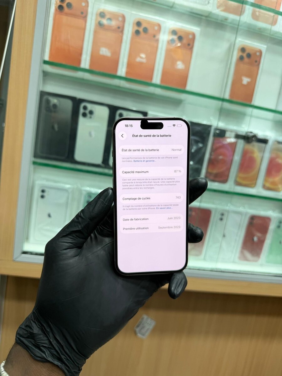 15 Pro 128Go  Écrans changé