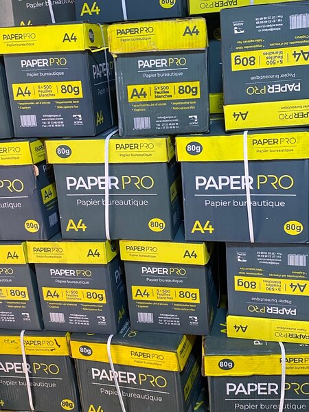 Papier Pro A4 80g Bureau