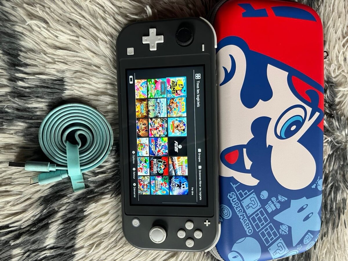 Nintendo Switch Lite Craqué