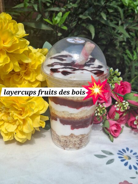 Layercups fruit des bois 500ml