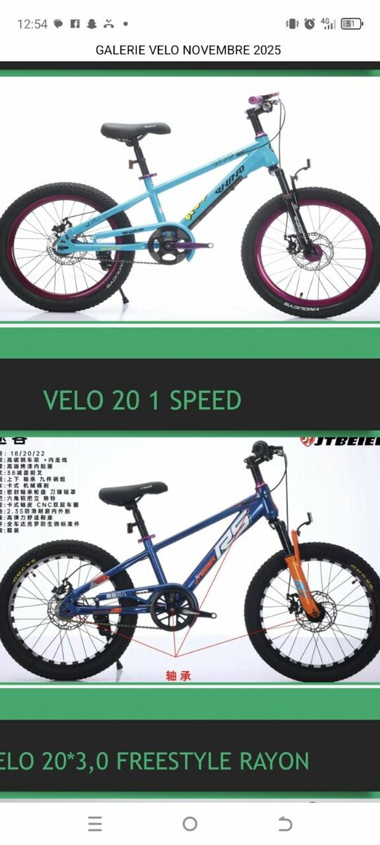 Vélos Enfants Variés Taille 12-20