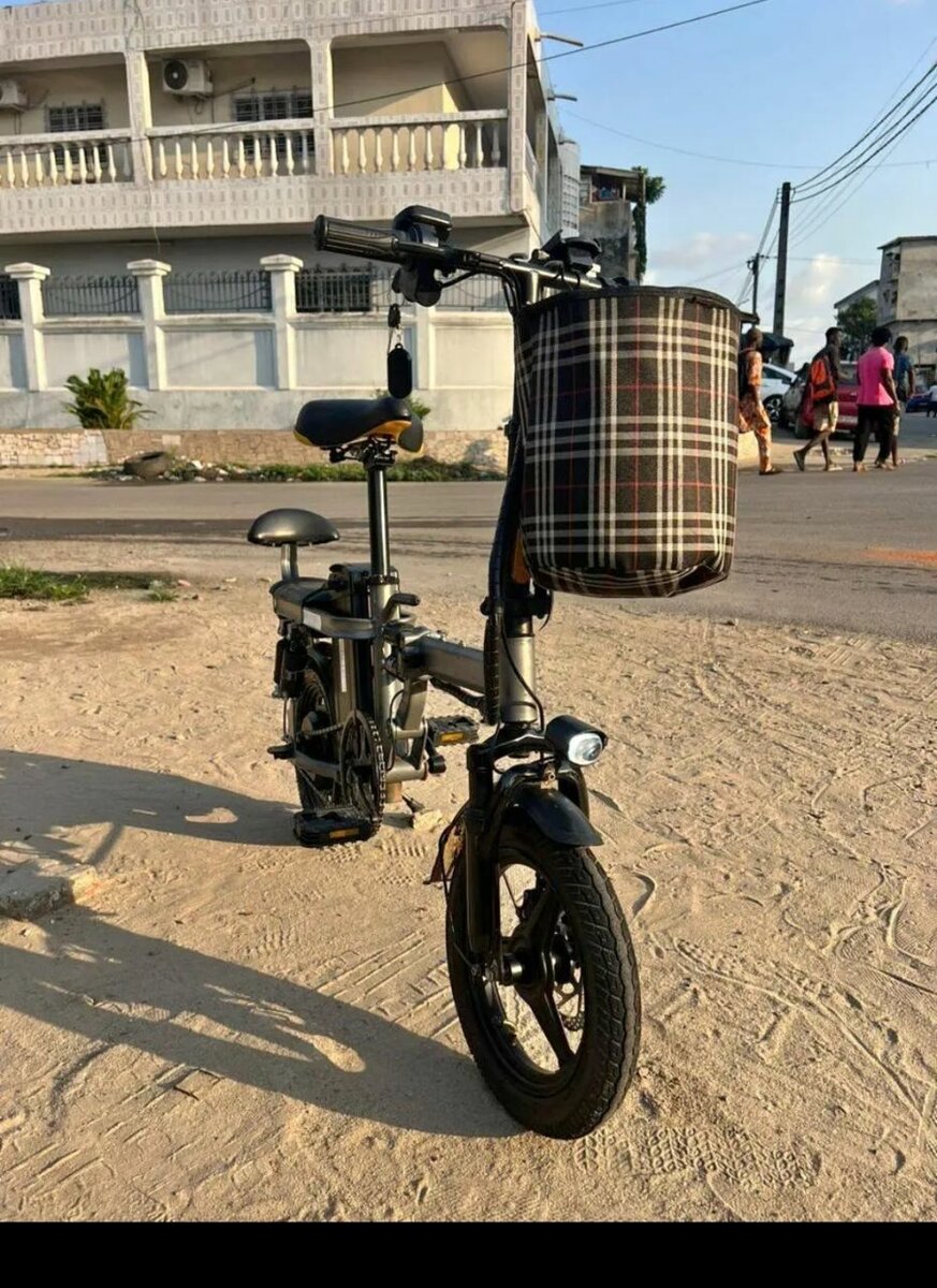 Vélo Électrique Pliable avec Chargeur