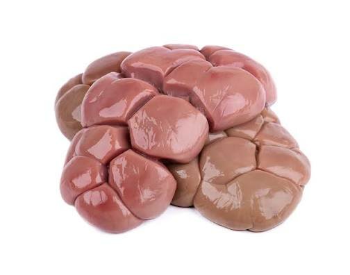 Rognons d'agneau frais