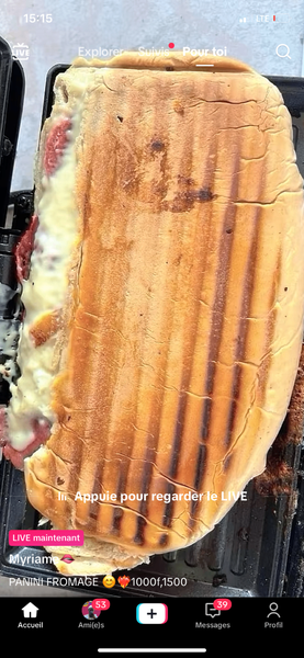 Panini au Fromage Gourmand