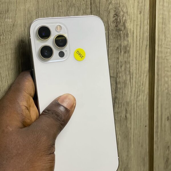 iPhone 12 Pro Max 256GB