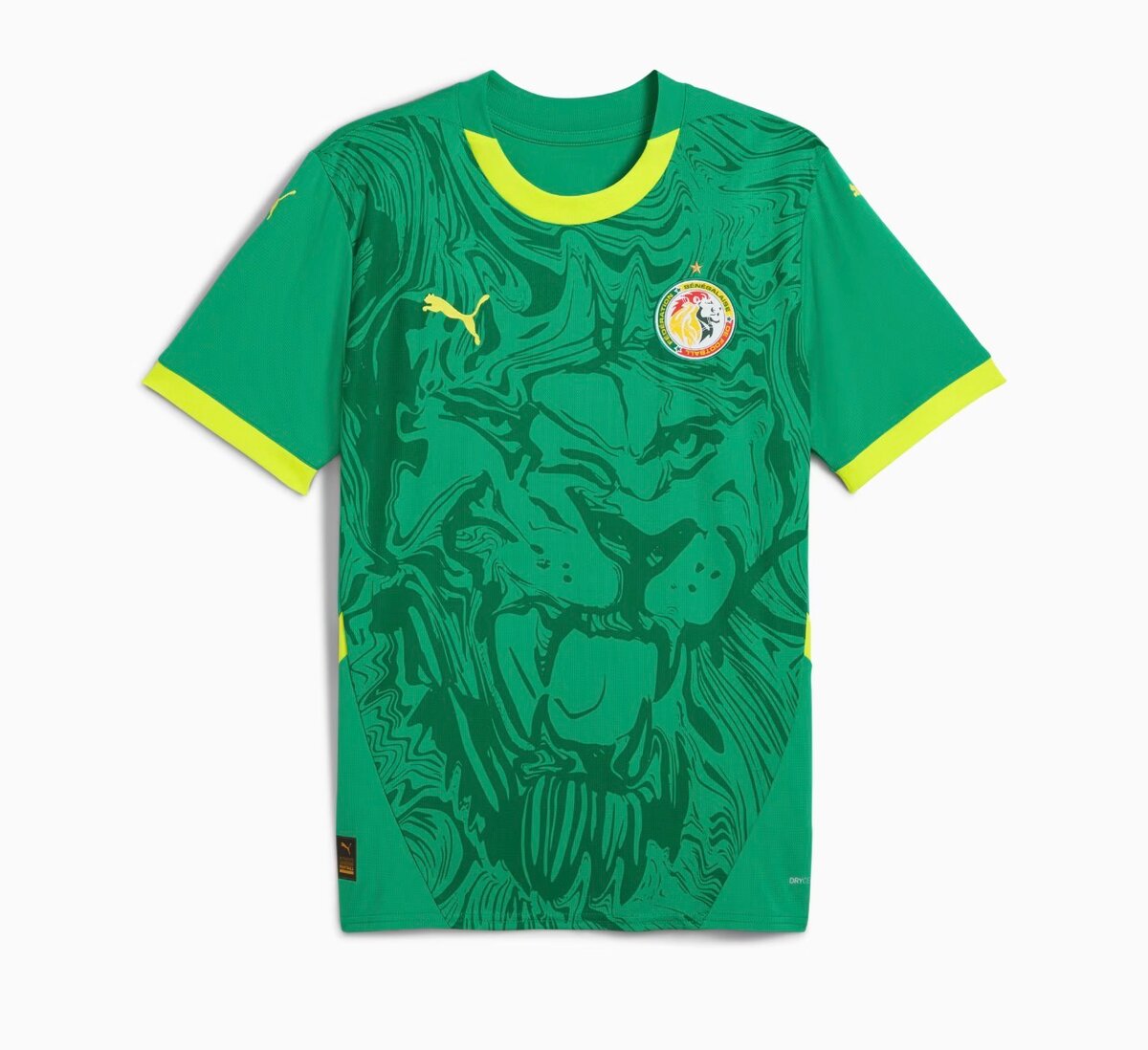 Maillot Équipe Sénégal Football